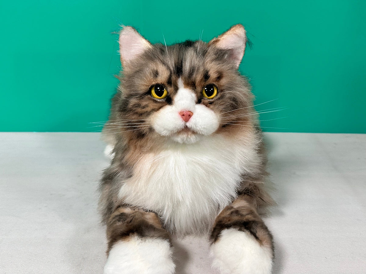Plush Norwegian Forest Cat-Handmade Life-Size Companion & Pet Memorial