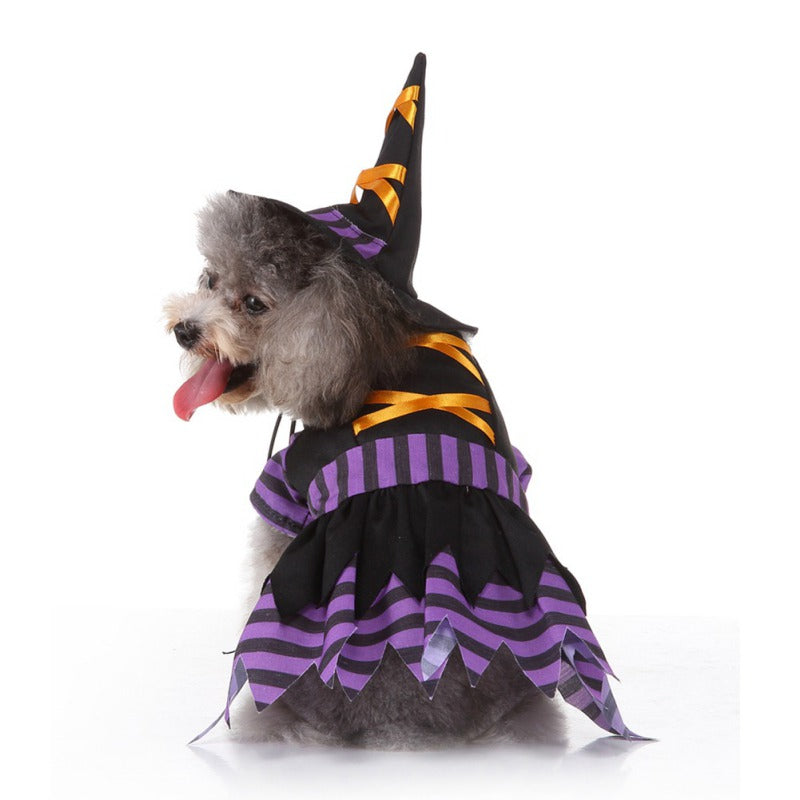 Funny Halloween Costumes for Pets